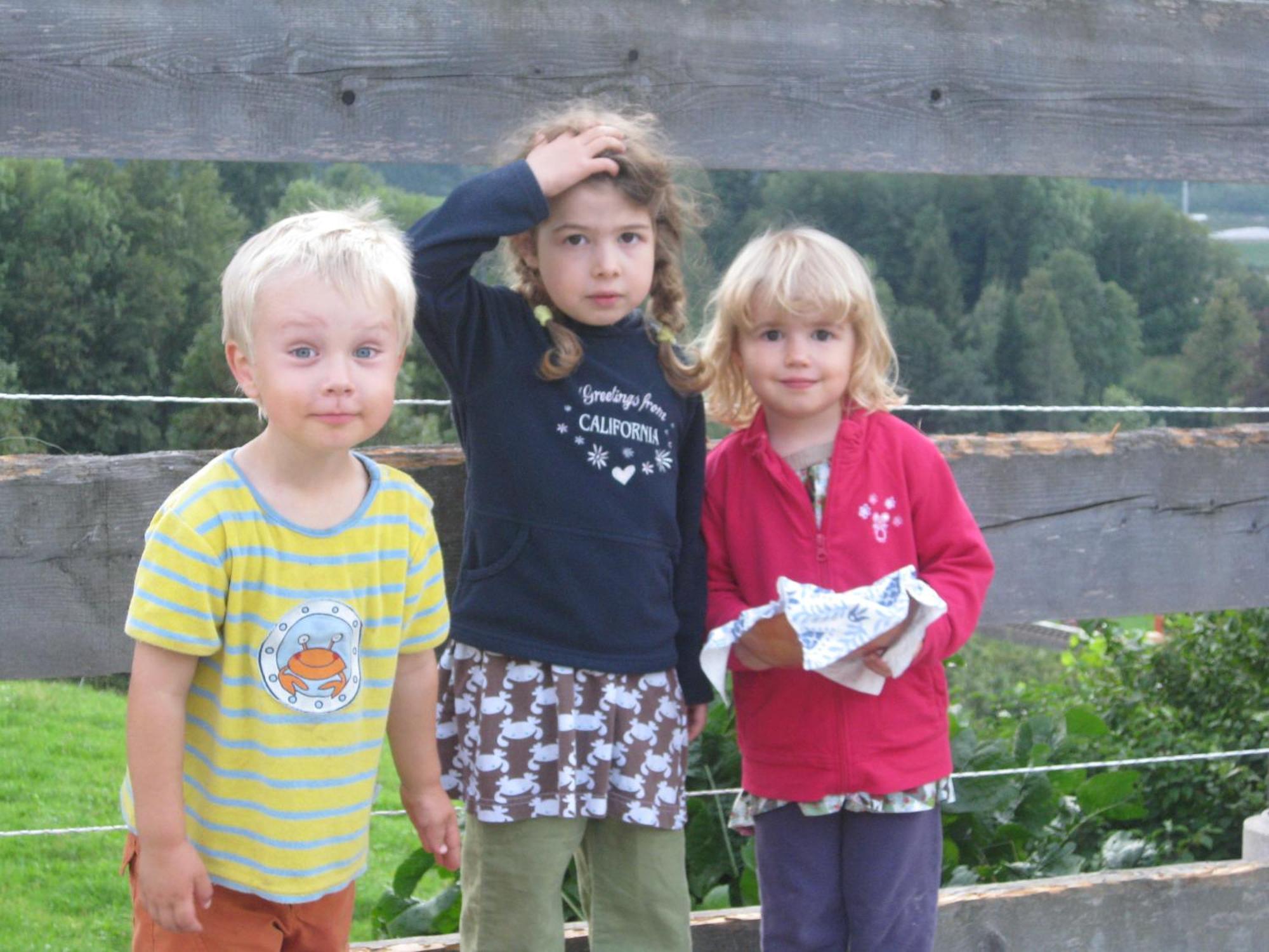 Landhaus Seebacher Spital Am Pyhrn Zewnętrze zdjęcie